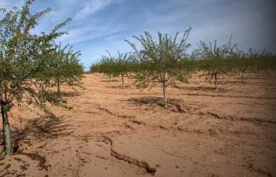 AECP_Soil_Erosion