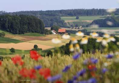 AECP_Pflanzenschutz