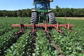 Robert Finger presented in EUI Webinar The EU vision on sustainability in agriculture